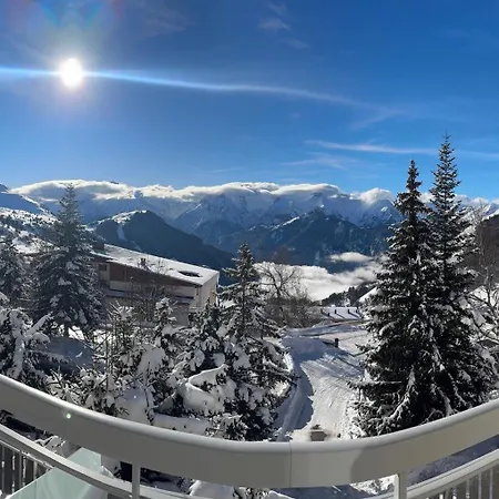 Le Nid Lumiere * Huez