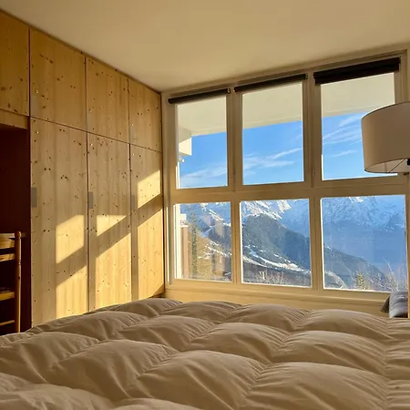 Le Nid Lumiere * Huez
